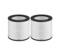 ARPZPPSK Filtro HEPA H13, Compatibile con Philips, Filtro di Pulizia A66T for AC0650/10 AC0651/10 Air FY0611 FY0611/30 Filtro di Ricambio for Purificatore d'Aria