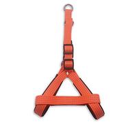 Arquivet 17635 Imbracatura Arancione, 2.0 x 45-55 cm