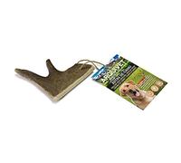 Arquivet Asta di gamo - S (<50 g) - Massaggiagengive Ecologico per Cani - Snack Naturali - Corna di cervidi - Salute Dentale Canina - Chuches, premi, premi dentali