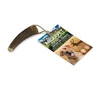 Arquivet Corno di Cervo - Corno da masticare eco-friendly per cani - Naturale autunnale - S - 15-39 g
