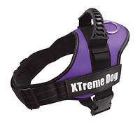 Arquivet Imbracatura per Cani Xtreme Dog Lilla Taglia: XS/44-57 cm - Gilet Regolabile ed ergonomico - Imbottito e Confortevole - Accessori per la Passeggiata dei Cani