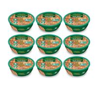 ARQUIVET PACK 9 unità - FreshHome - Spezzatino di anatra - 280 g - Cibo umido completo per cani