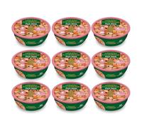 ARQUIVET PACK 9 unità - FreshHome - Spezzatino di maiale - 280 g - Cibo umido completo per cani