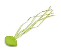 Arquivet Spina di Pesce Gamma Naturale