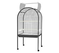 Arquivet Voliera Foggia