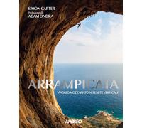 Arrampicata. Viaggio mozzafiato nell'arte verticale. Ediz. illustrata