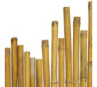 arredogiardini it N° 50 Canne Bamboo bambù cm 210 x Ø mm 20-22 per Piante