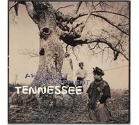 ARRESTED DEVELOPMENT - ARRESTED DEVELOPMENT / TENNESSEE (REMIXES)