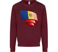 Arricciato Moldova Bandiera Moldavo Giorno Calcio Bambini Felpa Maglione