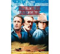 arriva un cavaliere libero e selvaggio