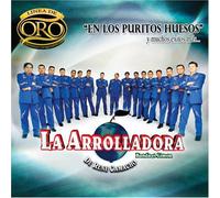 Arrolladora Banda El Limon & R - En Los Puros Huesos Y Muchos E