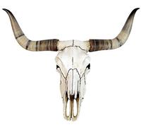 Ars-Bavaria Teschio di Toro, con Corna