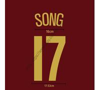 Arsenal 05/06 Home UCL Name Set SONG #17 | Champions League Heat Transfer