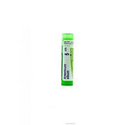 ARSENICUM ALBUM*5CH 80GR 4G BO