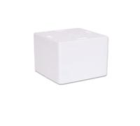 ARSPEDIZIONI Cassa termica da 1 kg con coperchio - Box Scatola di polistirolo Box per alimenti e bevande - (19,6x19,6x12,5cm - 3,20L volume) Riutilizzabile