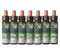 Art. Agricola Plantis 30 Castaño Dulce 10Ml Art. Agricola - 10 ml
