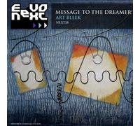 Art Bleek - Message To The Dreamer