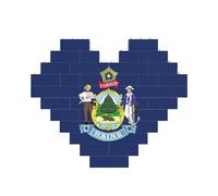 Art Brick Puzzle a forma di cuore bandiera dello stato del Maine stampa 3D blocchi di costruzione 30 pezzi fai da te regalo rilassante