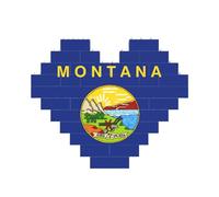 Art Brick Puzzle a forma di cuore bandiera dello stato del Montana stampa 3D blocchi di costruzione 30 pezzi fai da te regalo rilassante