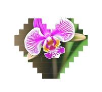 Art Brick Puzzle a forma di cuore Orchidea Stampa 3D Blocchi di costruzione 30 Pezzi FAI DA TE Regalo Rilassante