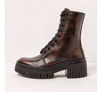 Art Company 1375 ASPORT CASTAGNA/YORK BROWN