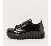 Art Company 1535 NAPPA SHINNY BLACK/BRIGHTON BLACK