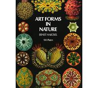 Art Forms In Nature