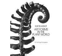 Art Forms In The Plant World: 120 Full-Page Photographs