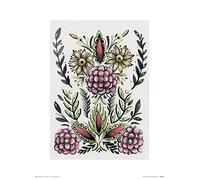 Art Group Amanda Colville (Folk Floral II) -Stampa Artistica 30 x 40 cm, Carta, Multicolore, 30 x 40 x 1.3 cm