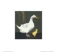 Art Group Julia Burns anatroccolo, Stampa Artistica, 30 x 30 cm, Carta, Multicolore, 30 x 30 x 1.3 cm
