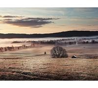 Art Group Misty Morning Tela, Multicolore, 0.96x60x3 cm