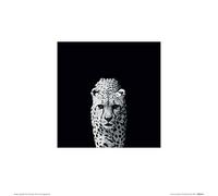 Art Group Nicolas Evariste (Acinonyx Jubatus) -Stampa Artistica 30 x 30 cm, Carta, Multicolore, 30 x 30 x 1.3 cm