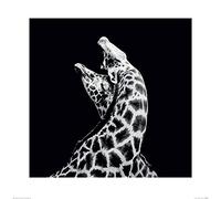 Art Group Nicolas Evariste (in Love) -Stampa Artistica 60 x 60 cm, Carta, Multicolore, 60 x 60 x 1.3 cm