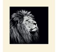 Art Group Nicolas Evariste (Majesty) -Stampa montata 40 x 40 cm, Carta, Multicolore, 40 x 40 x 1.3 cm