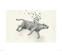 Art Group Oliver Flores (The Kings Coat Jaguar) -Stampa Artistica, 60 x 80 cm, Carta, Multicolore, 60 x 80 x 1.3 cm