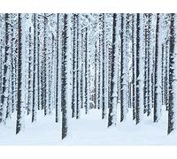 Art Group Stampa su Tela Frosted Trees, Finlandia, Multicolore, 0.96 x 60 x 3 cm
