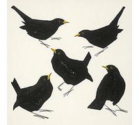 Art Group Stampa su Tela Julia Burns Blackbirds, Cotone, Multicolore, 30 x 30 x 1.3 cm