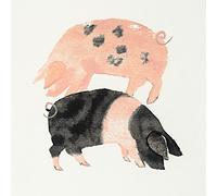 Art Group Stampa su Tela Julia Burns Gloucester Old Spot e Saddleback Pigs, Cotone, Multicolore, 1.80 x 30.00 x 30.00 cm