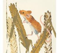 Art Group Stampa su Tela Julia Burns Harvest Mouse, Cotone, Multicolore, 30 x 30 x 1.3 cm