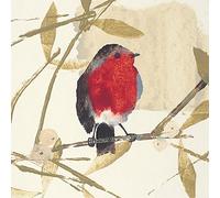 Art Group Stampa su Tela Julia Burns Robin, Cotone, Multicolore, 30 x 30 x 1.3 cm