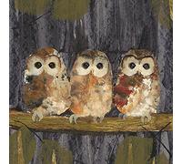 Art Group Stampa su Tela Julia Burns Three Tawny Owls, Cotone, Multicolore, 30 x 30 x 1.3 cm