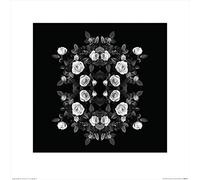 Art Group The Alyson Fennell (Tiny Rose Bombastic) - Stampa Artistica 40 x 40 cm, Carta, Multicolore, 40 x 40 x 1,3 cm