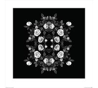 Art Group The Alyson Fennell (Tiny Rose Bombastic) - Stampa Artistica 60 x 60 cm, Carta, Multicolore, 60 x 60 x 1,3 cm