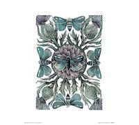 Art Group The Amanda Colville - Stampa Artistica 30 x 40 cm, Carta, Multicolore, 30 x 40 x 1,3 cm