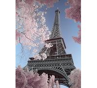 Art Group The David Clapp Torre Eiffel Infrarossi Parigi Stampa su Tela, Cotone, Multicolore, 1,8 x 30 x 40 cm