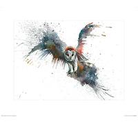 Art Group The Eric in Flight Sarah Stokes Stampa Artistica, Carta, Multicolore, 40 x 50 x 1,3 cm