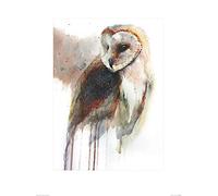 Art Group The Eric Sitting Sarah Stokes Stampa Artistica, Carta, Multicolore, 60 x 80 x 1,3 cm