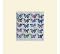 Art Group The Howard Shooter (griglia a Farfalla) - Stampa montata 30 x 30 cm, Carta, Multicolore, 30 x 30 x 1,3 cm