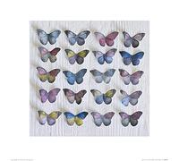 Art Group The Howard Shooter (griglia Farfalla) - Stampa Artistica 40 x 40 cm, Carta, Multicolore, 40 x 40 x 1,3 cm