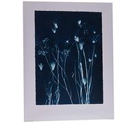 Art Group The Jo de Pear (Grasses I) - Stampa Artistica 60 x 80 cm, Carta, Multicolore, 60 x 80 x 1,3 cm